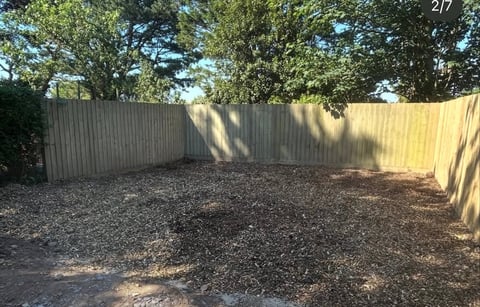 Empty residential backyard with corrugated metal fence and mulch ground covered by tree shade