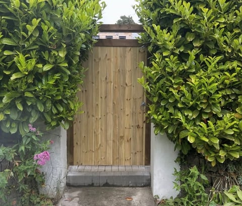 Wooden garden door with weathered finish flanked by dense green hedges and flowering shrubs