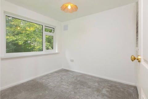 Empty bedroom with white walls, gray carpet, ceiling light fixture, and window overlooking green foliage